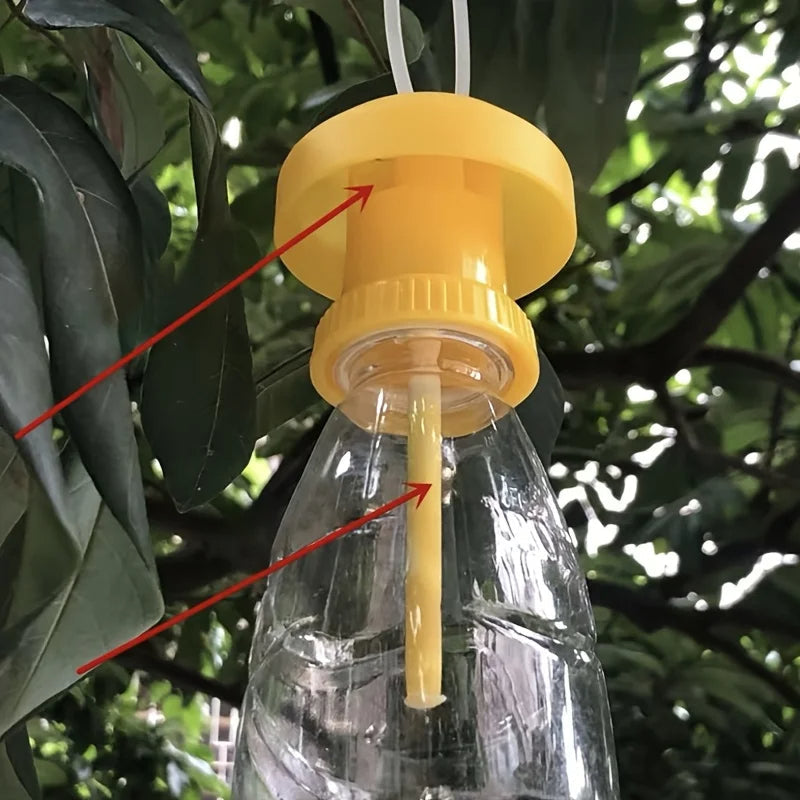 Fruit Fly Trap with Hanging Cover