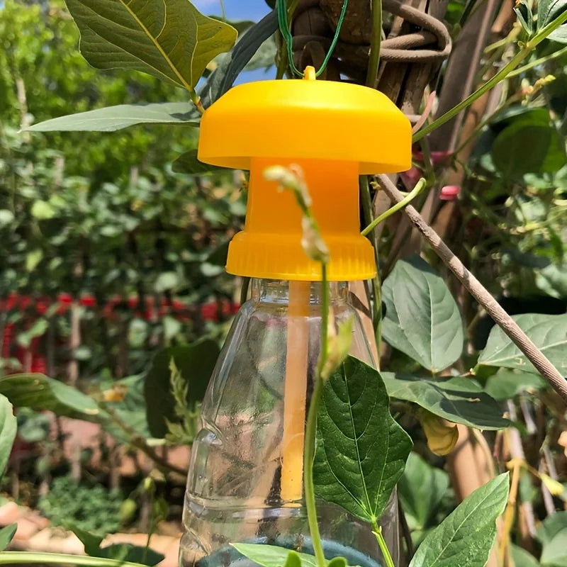 Fruit Fly Trap with Hanging Cover