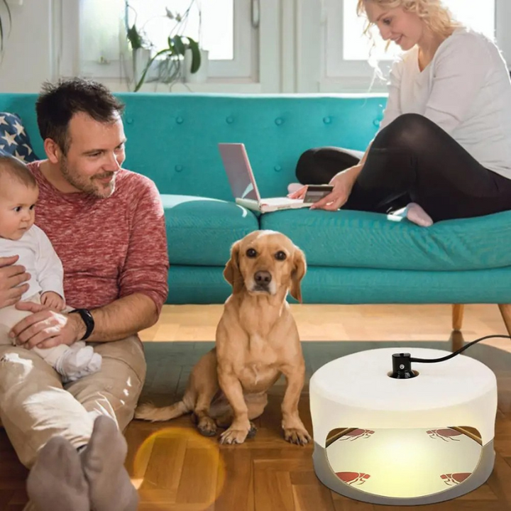 Indoor Bed Bug Trap