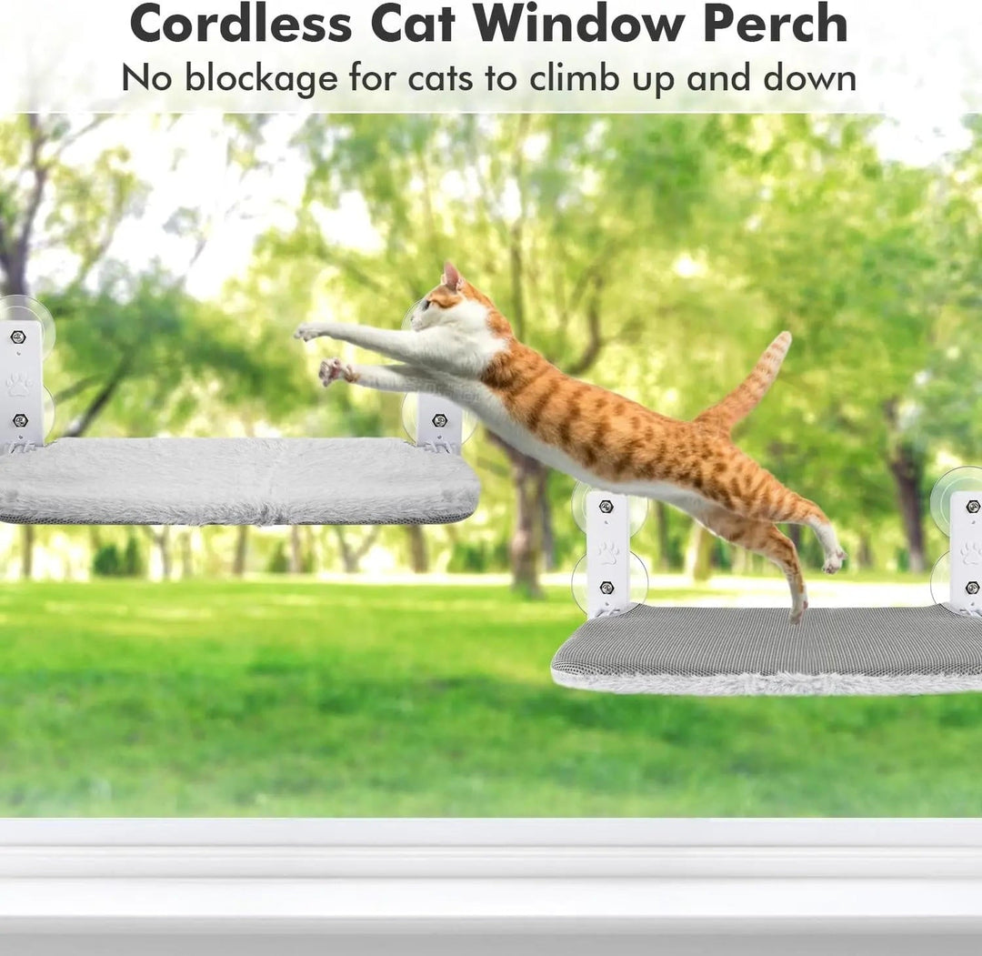 Cat Hammock Window