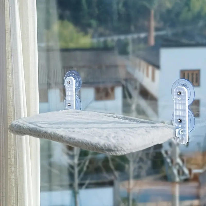 Cat Hammock Window