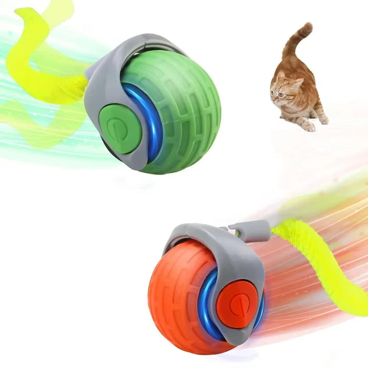Moving Cat Toy