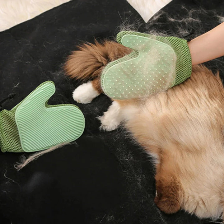 2in1 cat glove for grooming
